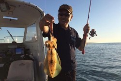 South Current 釣果