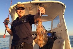 South Current 釣果