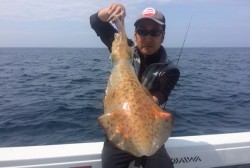 South Current 釣果