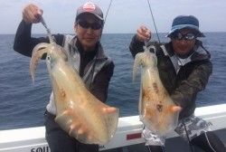 South Current 釣果