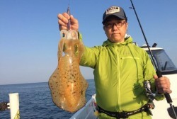 South Current 釣果