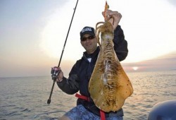 South Current 釣果