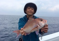 South Current 釣果