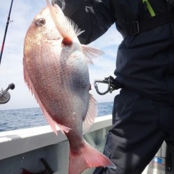 トリップ 釣果