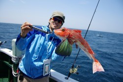 Big One　ビッグワン 釣果