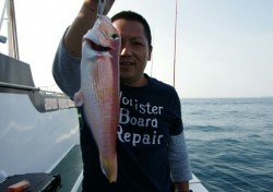 Big One　ビッグワン 釣果