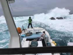 第八 源洋丸 釣果