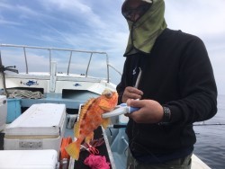 第八 源洋丸 釣果