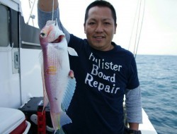 Big One　ビッグワン 釣果