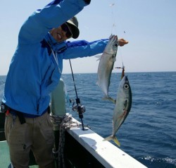 Big One　ビッグワン 釣果