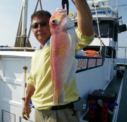 Big One　ビッグワン 釣果