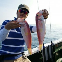 Big One　ビッグワン 釣果