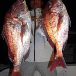 ＪＤＩ　Ｒａｃｉｎｇ　シールズマリンレジャー 釣果