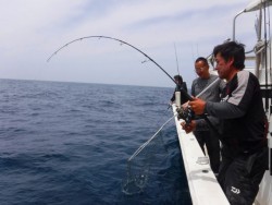 ＳⅡ 釣果