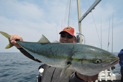 ワープゾーン 釣果