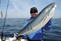 ワープゾーン 釣果