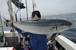 ワープゾーン 釣果