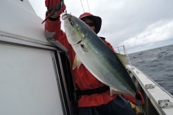 ワープゾーン 釣果