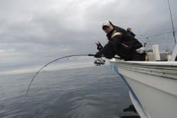 ワープゾーン 釣果