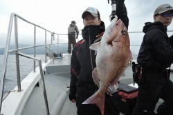 ワープゾーン 釣果