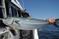 ワープゾーン 釣果