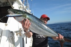 ワープゾーン 釣果