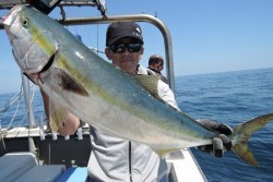 ワープゾーン 釣果