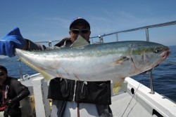 ワープゾーン 釣果