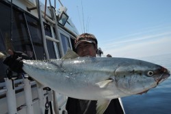 ワープゾーン 釣果