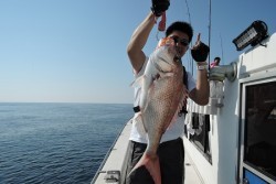 ワープゾーン 釣果