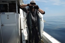 ワープゾーン 釣果