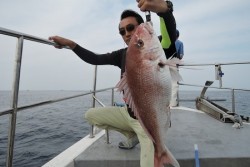 ワープゾーン 釣果