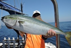 ワープゾーン 釣果