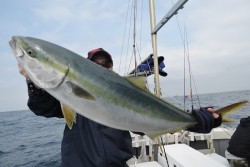 ワープゾーン 釣果