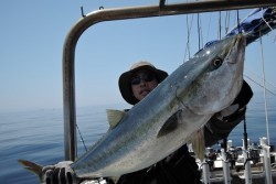 ワープゾーン 釣果