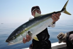 ワープゾーン 釣果