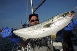 ワープゾーン 釣果