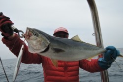 ワープゾーン 釣果