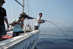 ワープゾーン 釣果