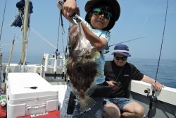 ワープゾーン 釣果