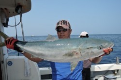 ワープゾーン 釣果