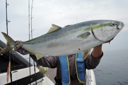 ワープゾーン 釣果