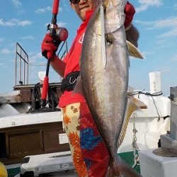 明日丸 釣果