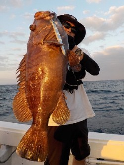 明日丸 釣果