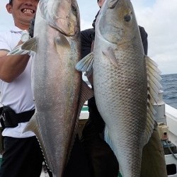 明日丸 釣果