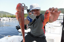 ＪＤＩ　Ｒａｃｉｎｇ　シールズマリンレジャー 釣果