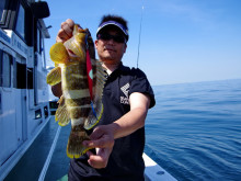 Big One　ビッグワン 釣果