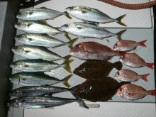 オーシャンスター(Ocean Star) …