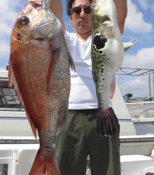 ＪＤＩ　Ｒａｃｉｎｇ　シールズマリンレジャー 釣果