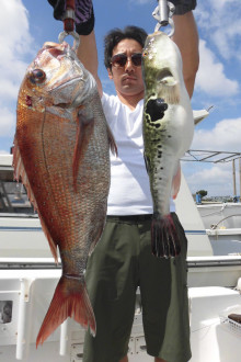 ＪＤＩ　Ｒａｃｉｎｇ　シールズマリンレジャー 釣果